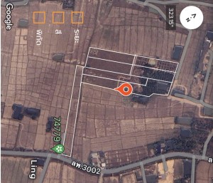 ที่ดิน ขาย ตำบลป่าสัก ขายที่ดินอำเภอเมืองลำพูนราคาถูก ใกล้แหล่งชุมชน-ตลาด-ห้าง-โรงพยาบาล ติดถนนบ้านบูชา-ป่าสัก เจ้าของขายเอง